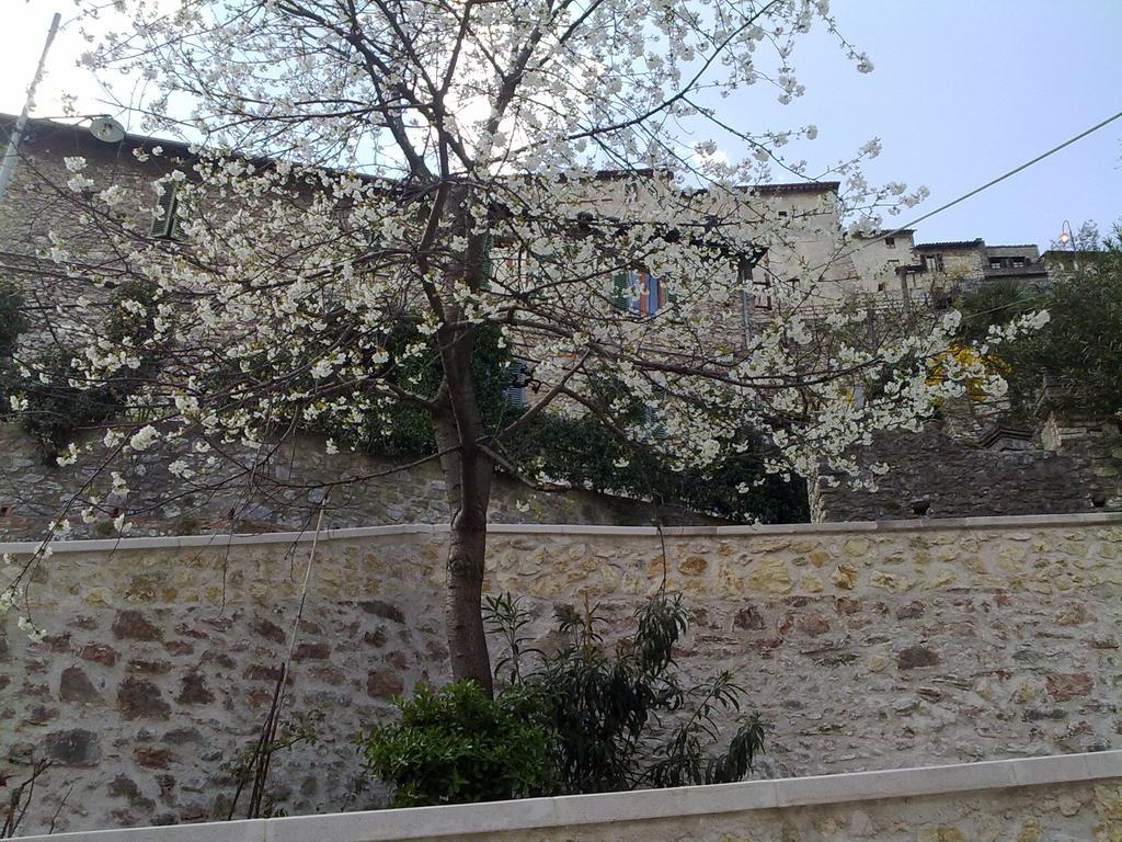 Il Paradiso Nel Borgo Arrone Exterior photo